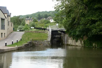 DSC_2715 (Large).JPG